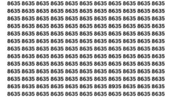 Optical Illusion IQ Test: Find 8935 Hidden Among Identical 8635s