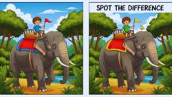 Spot the Difference Puzzle: Can You Identify 3 Changes in the Boy Riding an Elephant Images