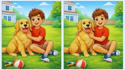 12-Second Challenge: Only Sharp Observers Can Spot 3 Hidden Changes in This Boy and Dog Picture