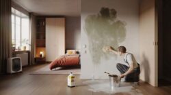 No bleach or ammonia needed: the simple painter-approved method to eliminate damp at home for good