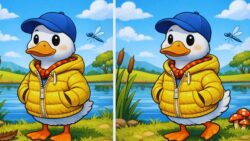 8-Second Visual Challenge: Try to Spot the 3 Differences in the Duck Wearing Jacket Image